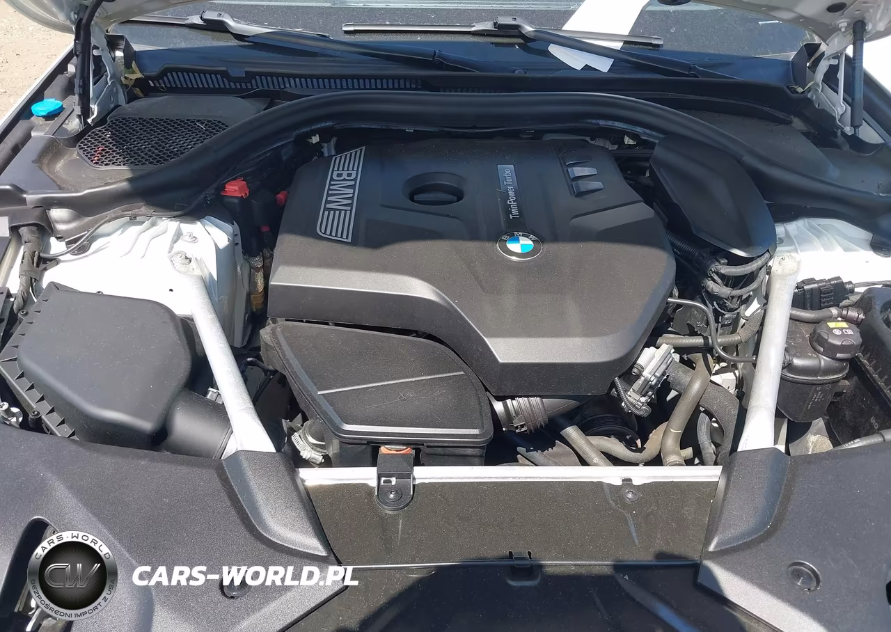 2019 BMW 530I xDrive VIN:WBAJA7C5XKWW48346 - 10