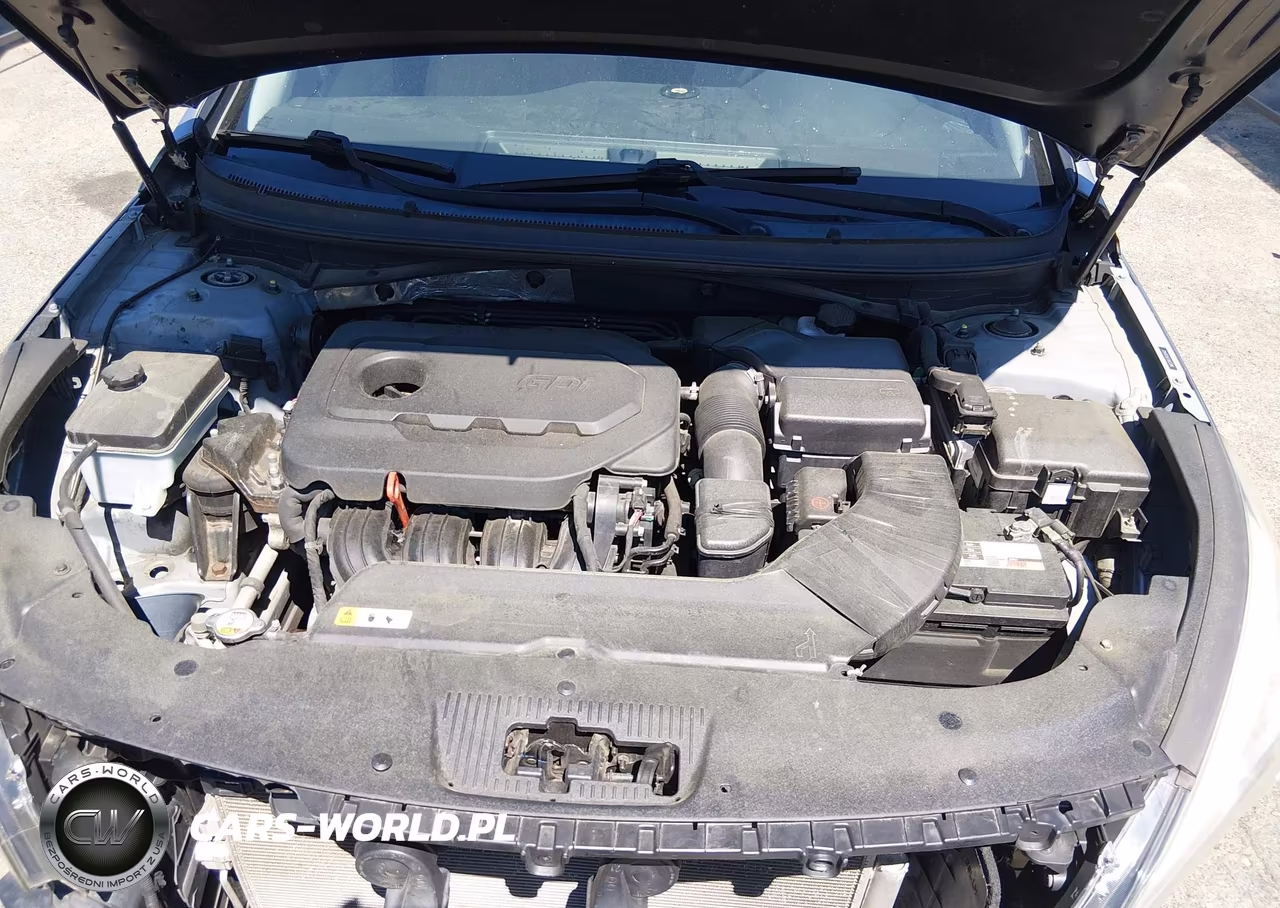 2015 Hyundai Sonata Se VIN:5NPE24AF3FH209402 - 10