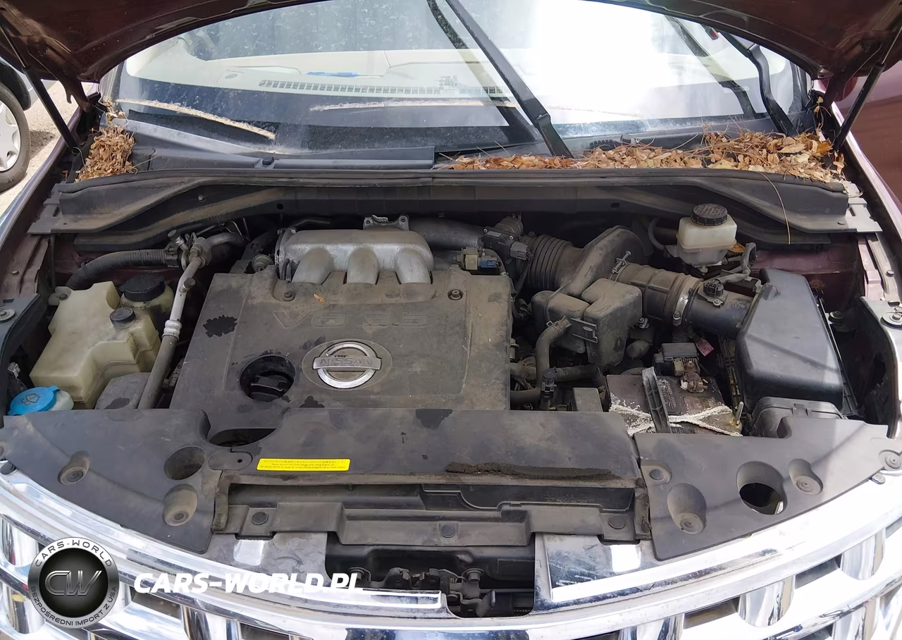 2005 Nissan Murano Se VIN:JN8AZ08W15W416375 - 10