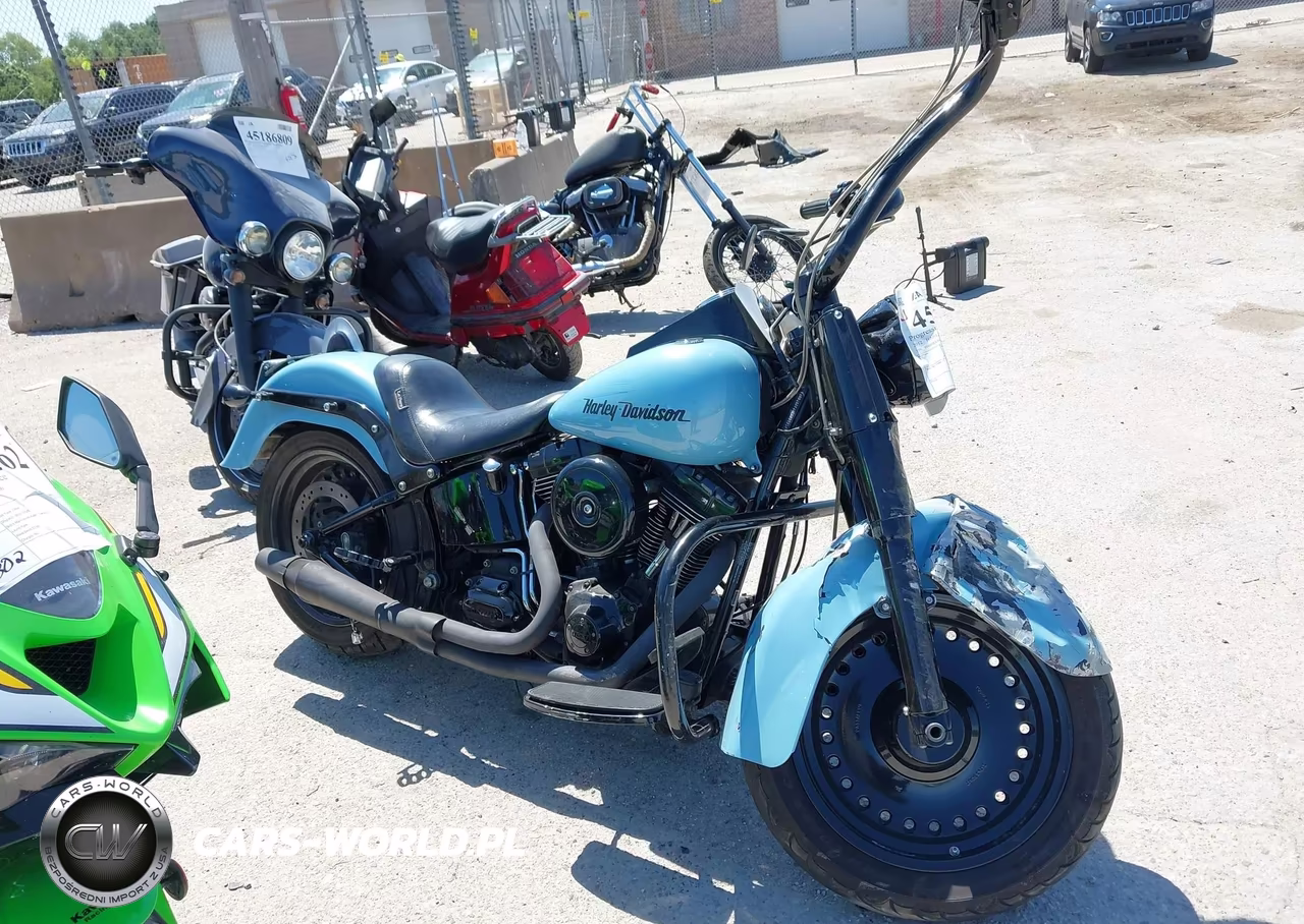 2012 Harley-Davidson Flstf Fatboy VIN:1HD1BXV10CB032236 - 12