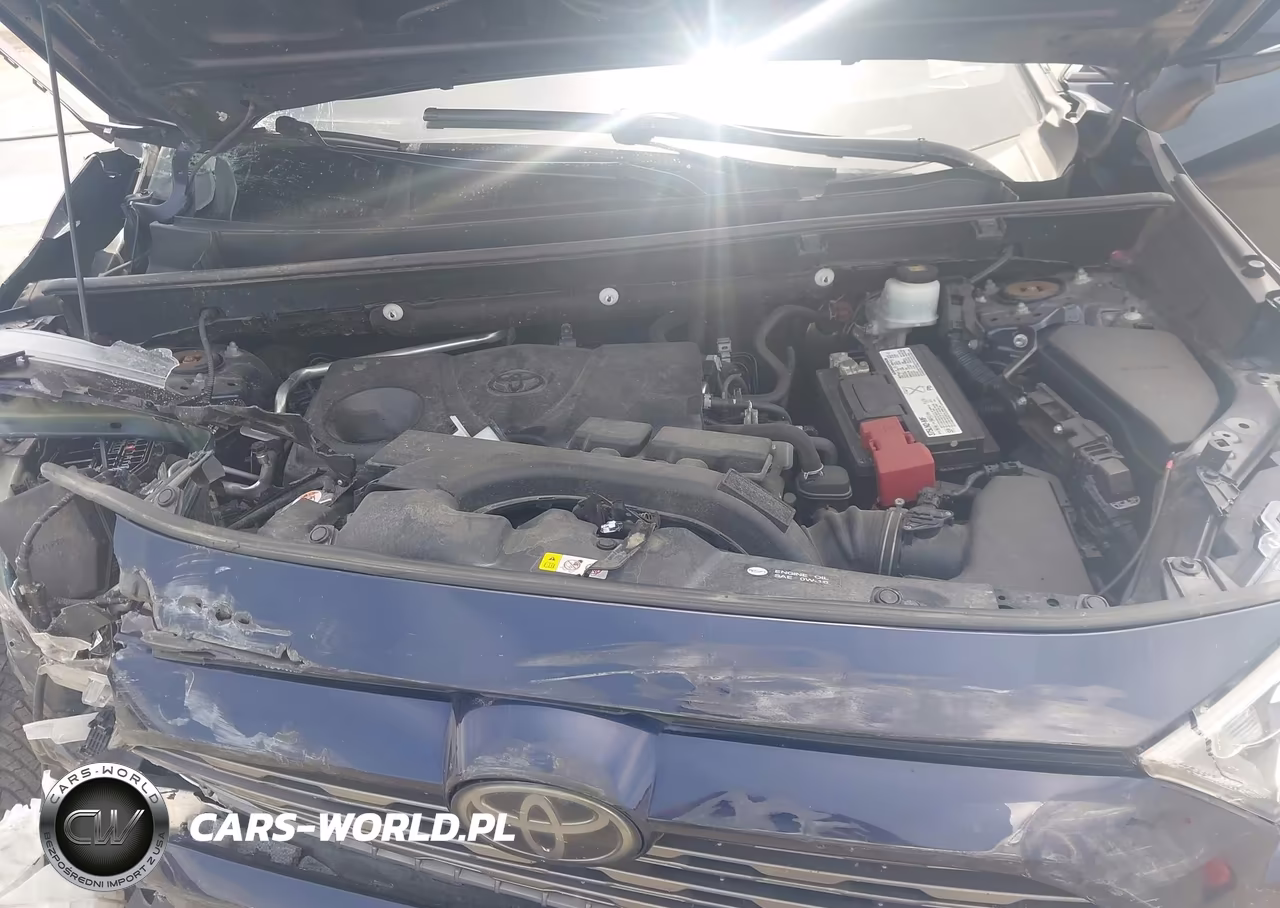 2019 Toyota Rav4 Limited VIN:2T3Y1RFV4KW034917 - 10