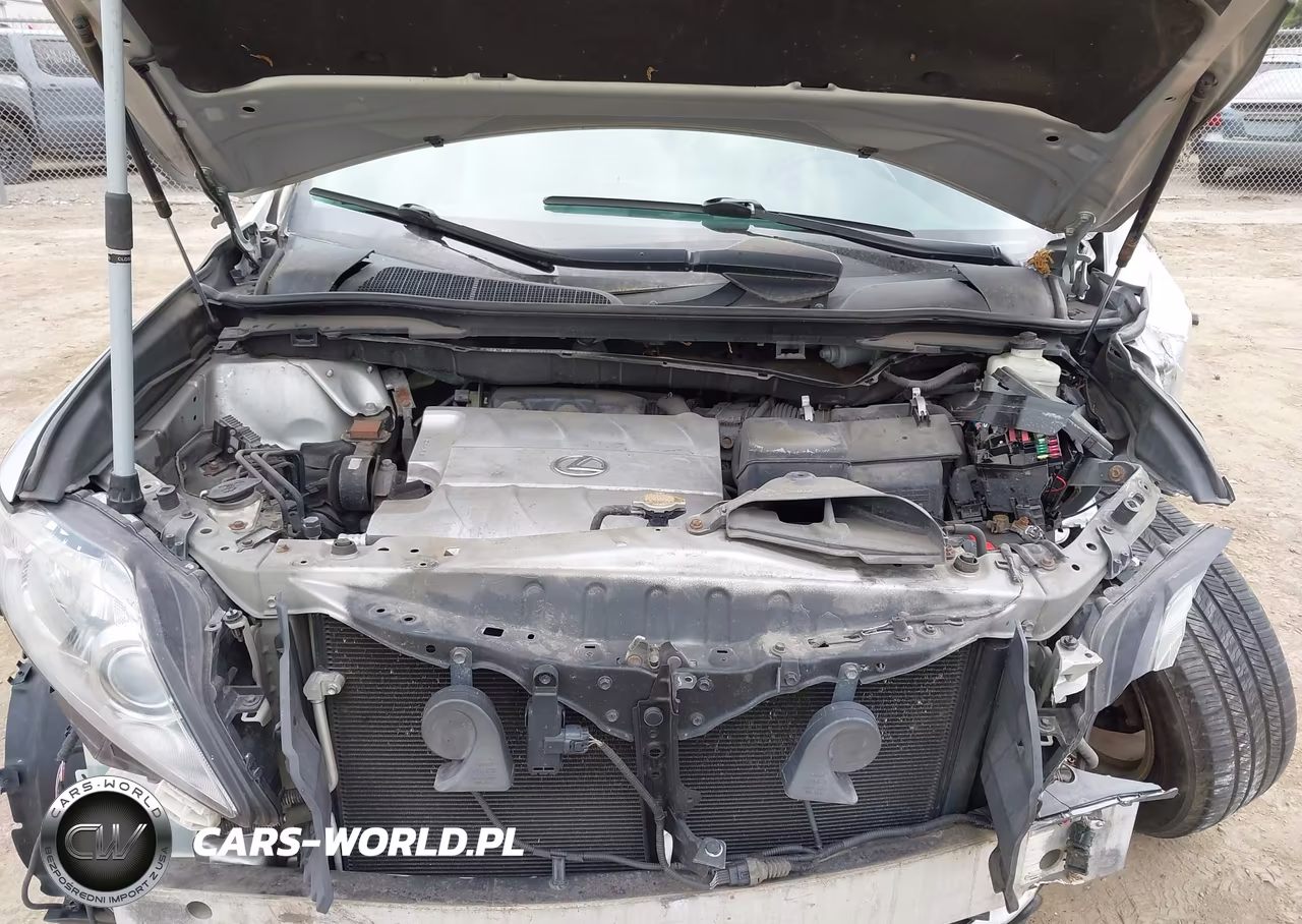 2010 Lexus Rx 350 VIN:2T2BK1BA6AC019072 - 10