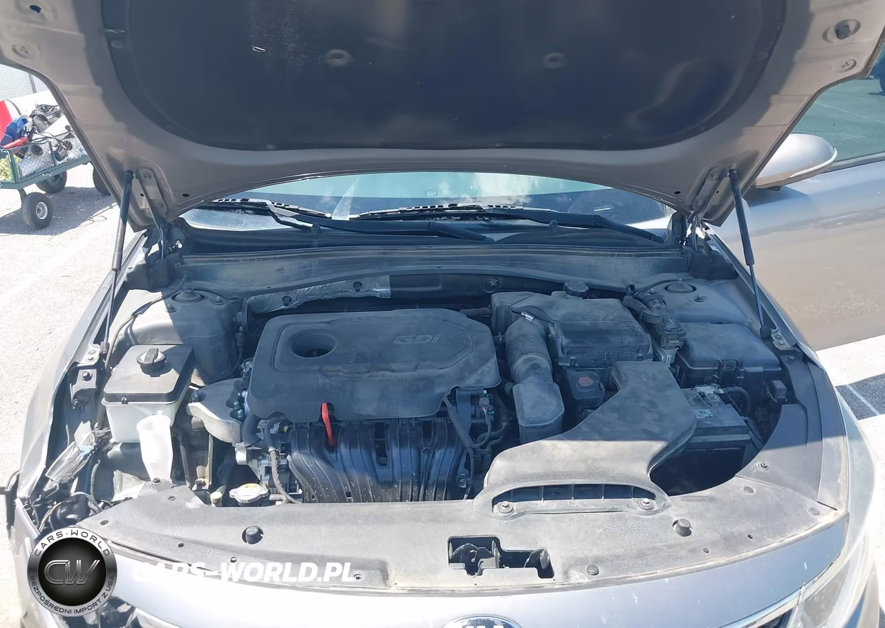 2016 Kia Optima Lx VIN:5XXGT4L3XGG026195 - 10