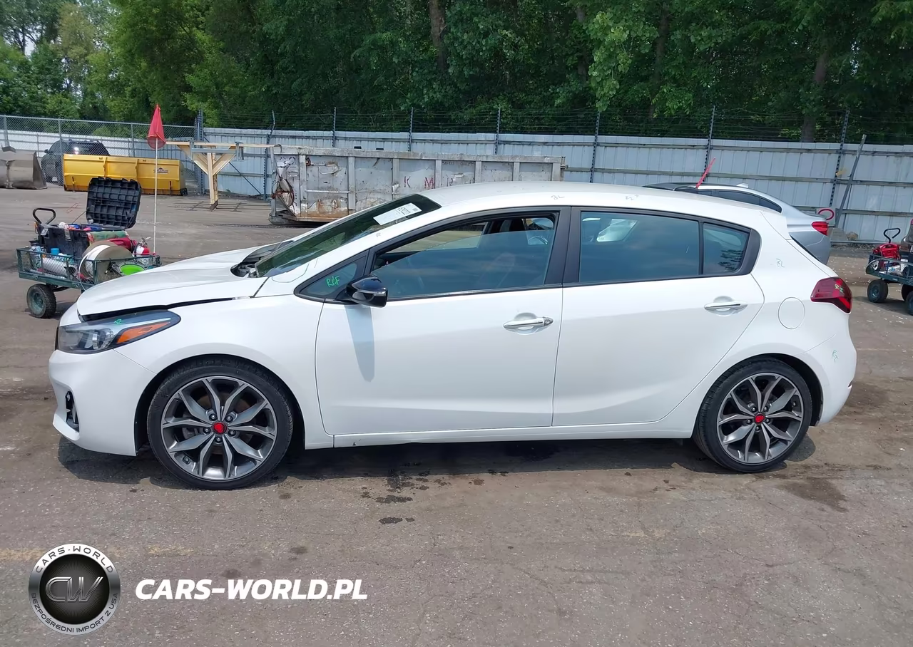 2018 Kia Forte Sx VIN:3KPFN5A36JE241183 - 14
