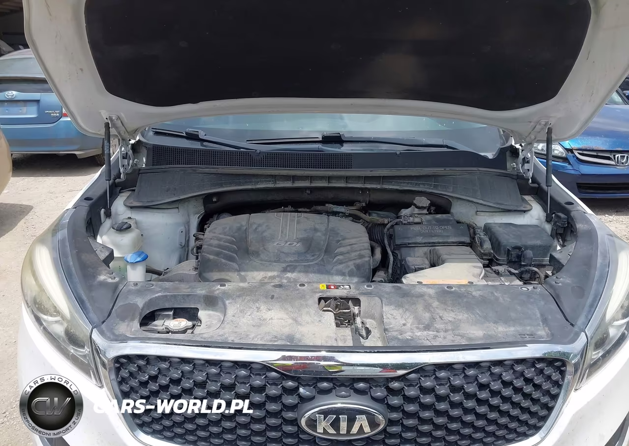 2017 Kia Sorento 3.3L Lx VIN:5XYPGDA5XHG207187 - 10