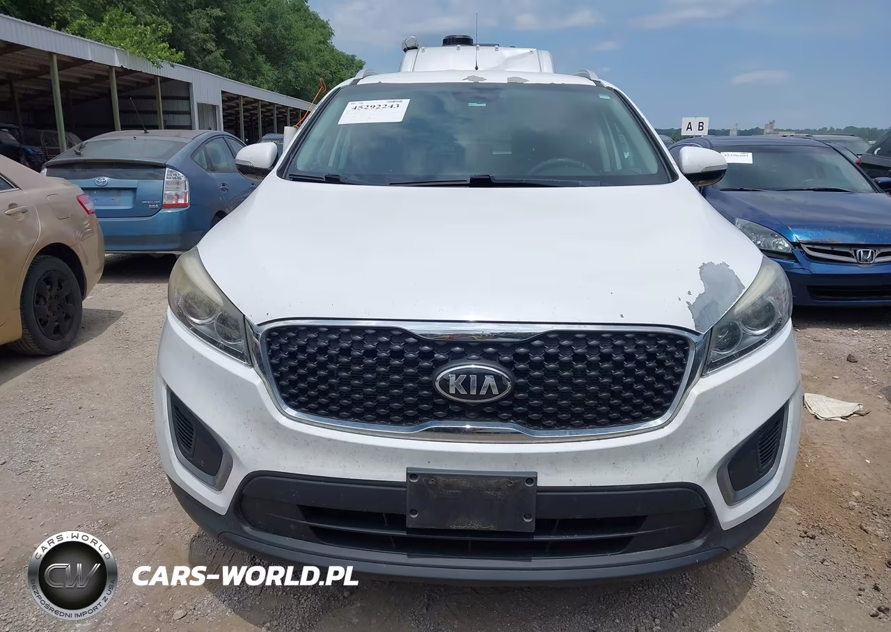 2017 Kia Sorento 3.3L Lx VIN:5XYPGDA5XHG207187 - 12