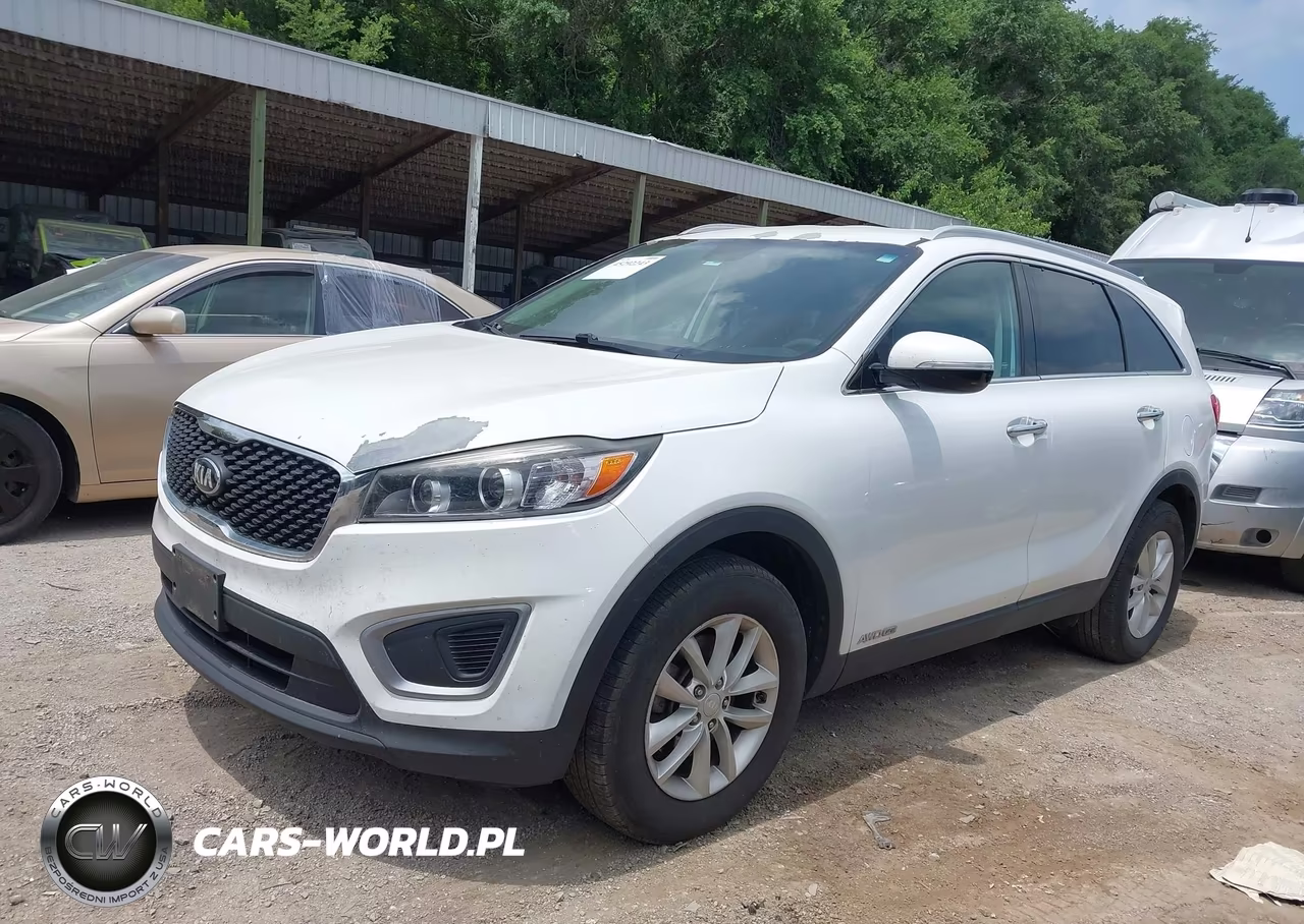 2017 Kia Sorento 3.3L Lx VIN:5XYPGDA5XHG207187 - 14