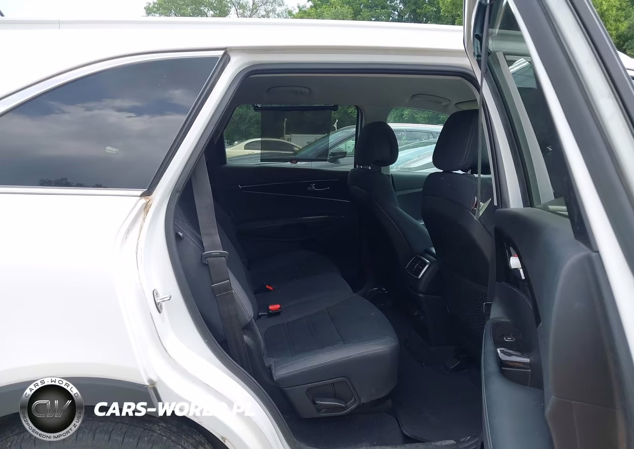2017 Kia Sorento 3.3L Lx VIN:5XYPGDA5XHG207187 - 8