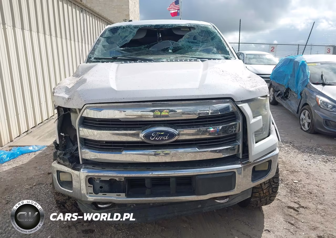 2016 FORD F-150 LARIAT VIN:1FTEW1EG1GKD09703 - 13