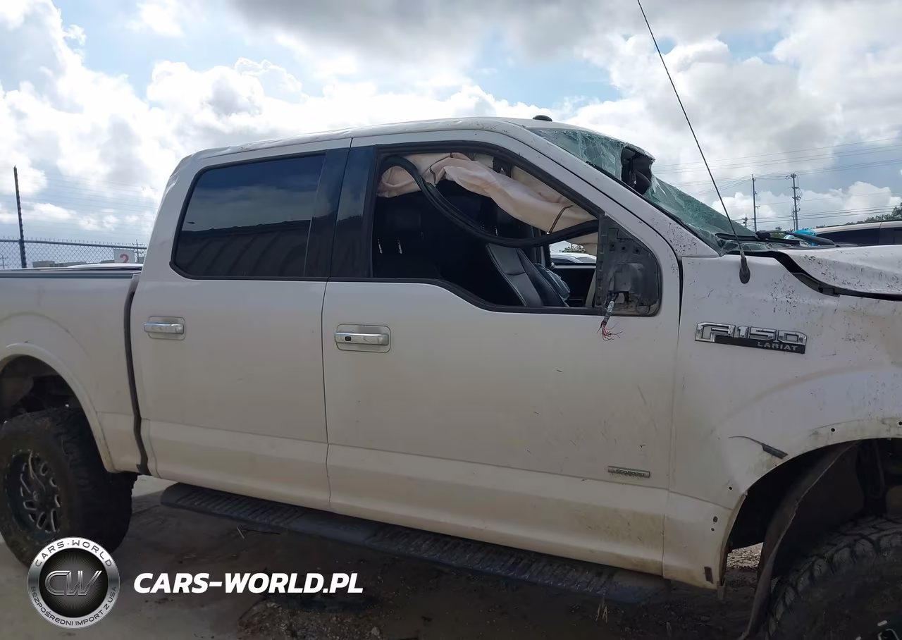 2016 FORD F-150 LARIAT VIN:1FTEW1EG1GKD09703 - 14
