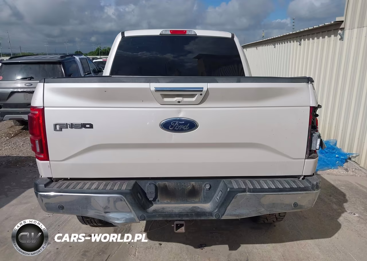 2016 FORD F-150 LARIAT VIN:1FTEW1EG1GKD09703 - 17