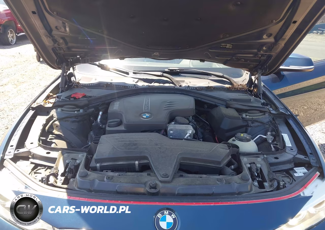2014 BMW 4 Series 428I VIN:WBA3N3C55EK230973 - 10