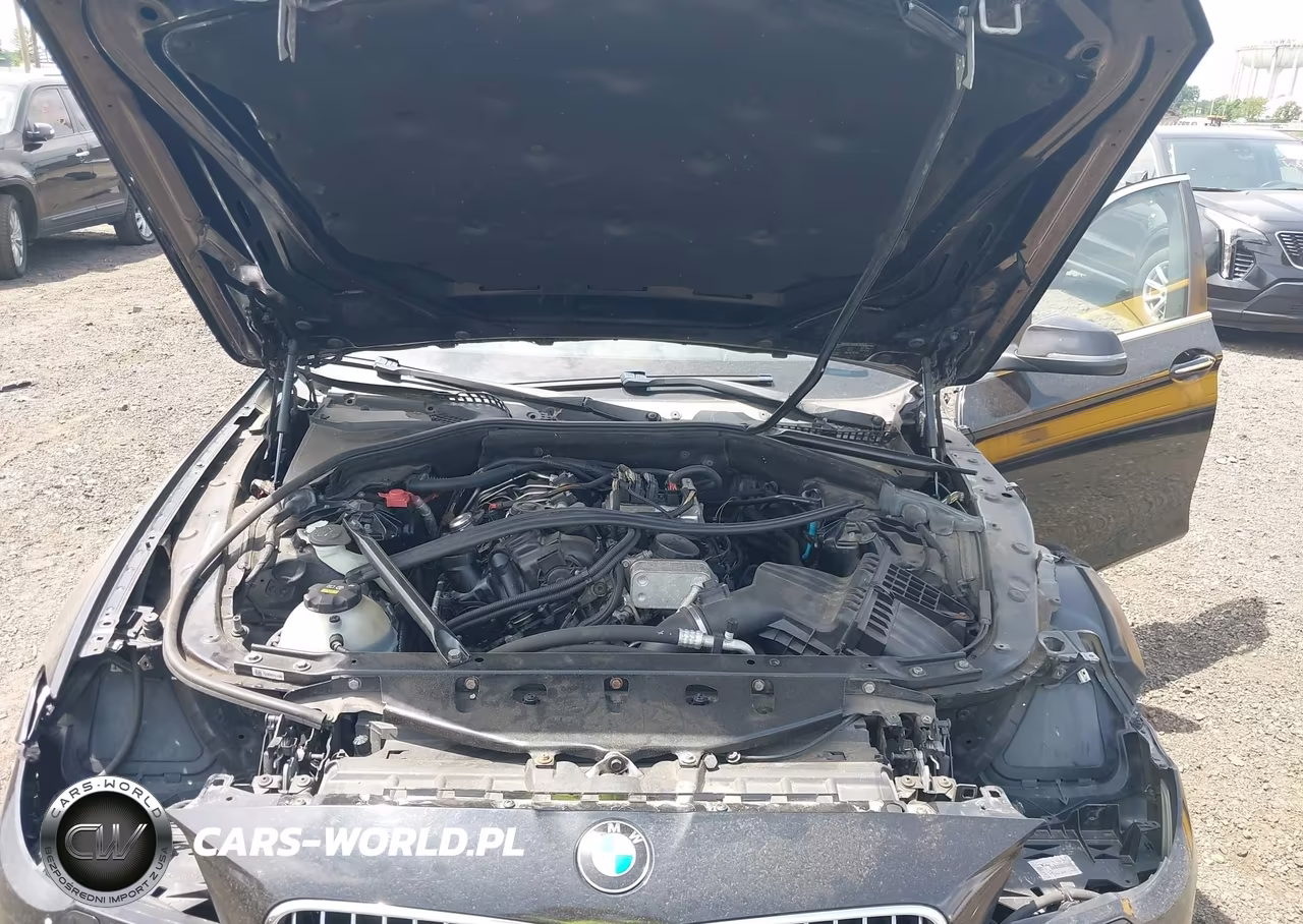 2015 BMW 528I xDrive VIN:WBA5A7C52FD627266 - 10