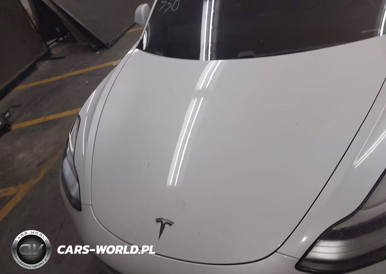2019 Tesla Model 3 Long Range-Performance VIN:5YJ3E1EB5KF469443 - 10