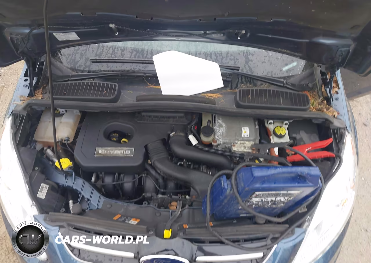 2018 Ford C-Max Hybrid Se VIN:1FADP5AU6JL102498 - 10