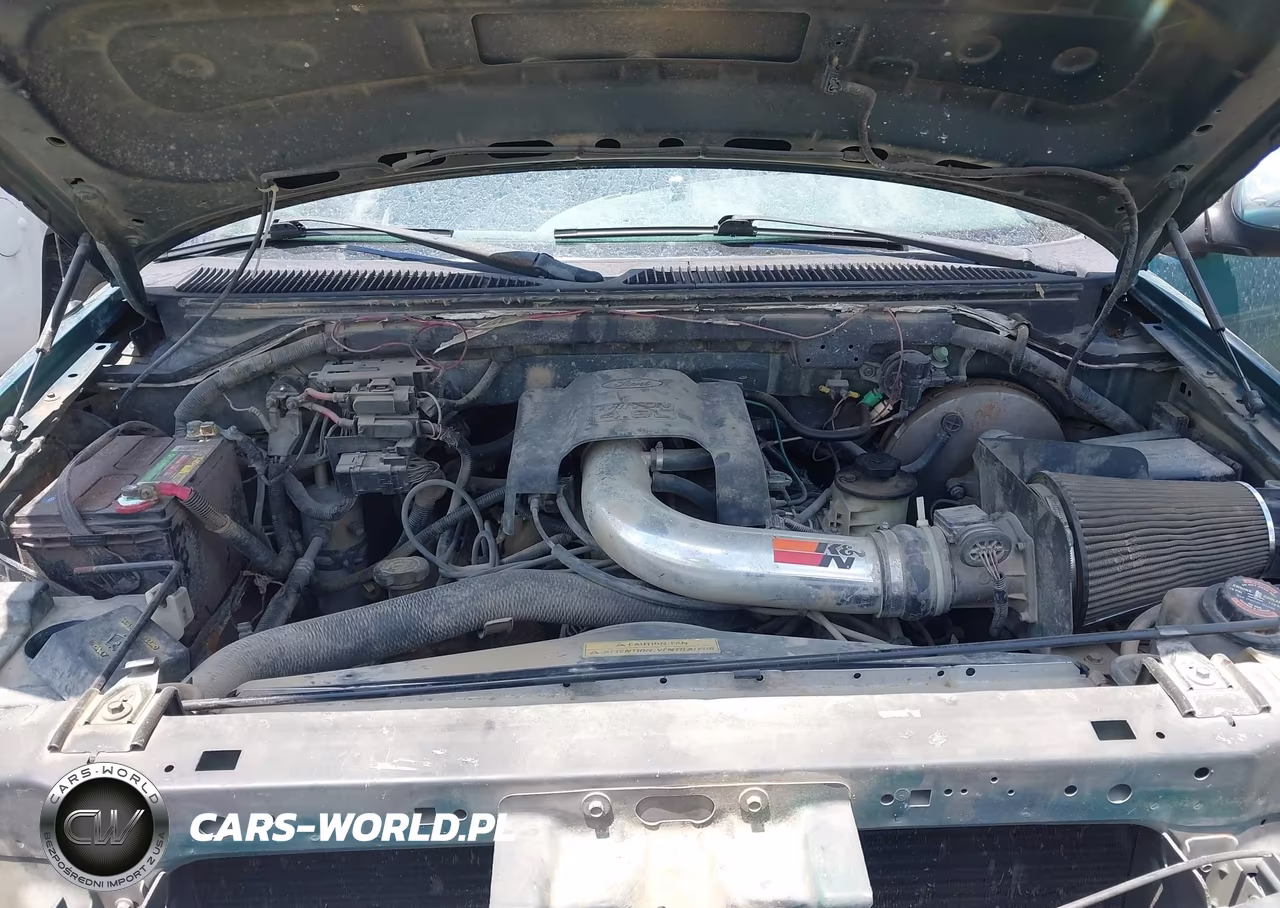 1998 Ford F-150 Lariat-Standard-Xl-Xlt VIN:1FTZX1764WNB46433 - 10
