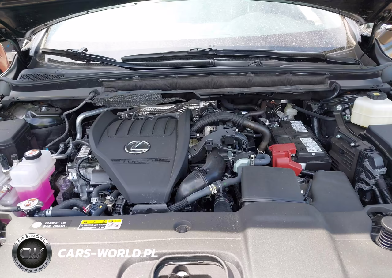 2025 Lexus Rx 350 Premium VIN:2T2BAMCA0SC113307 - 10