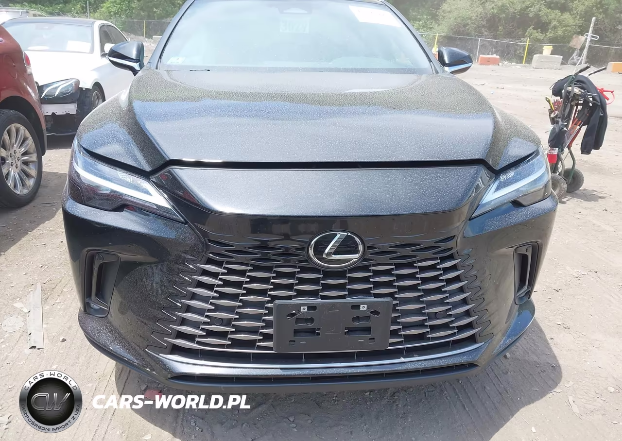 2025 Lexus Rx 350 Premium VIN:2T2BAMCA0SC113307 - 12
