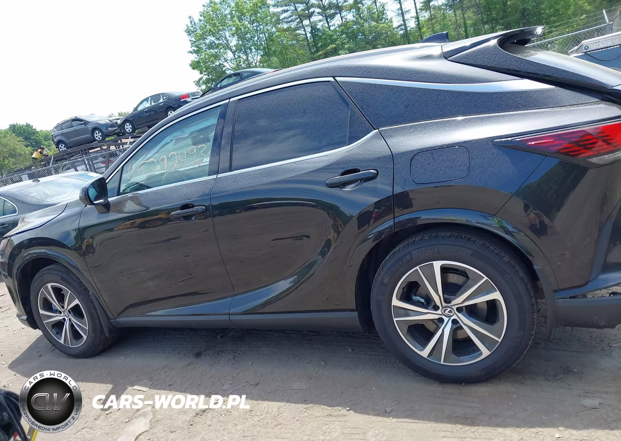 2025 Lexus Rx 350 Premium VIN:2T2BAMCA0SC113307 - 14