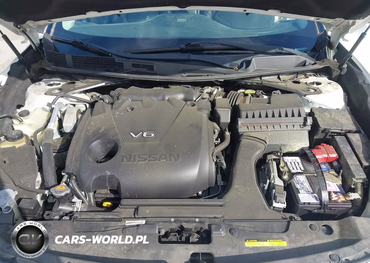 2018 Nissan Maxima 3.5 Platinum VIN:1N4AA6AP6JC403910 - 10