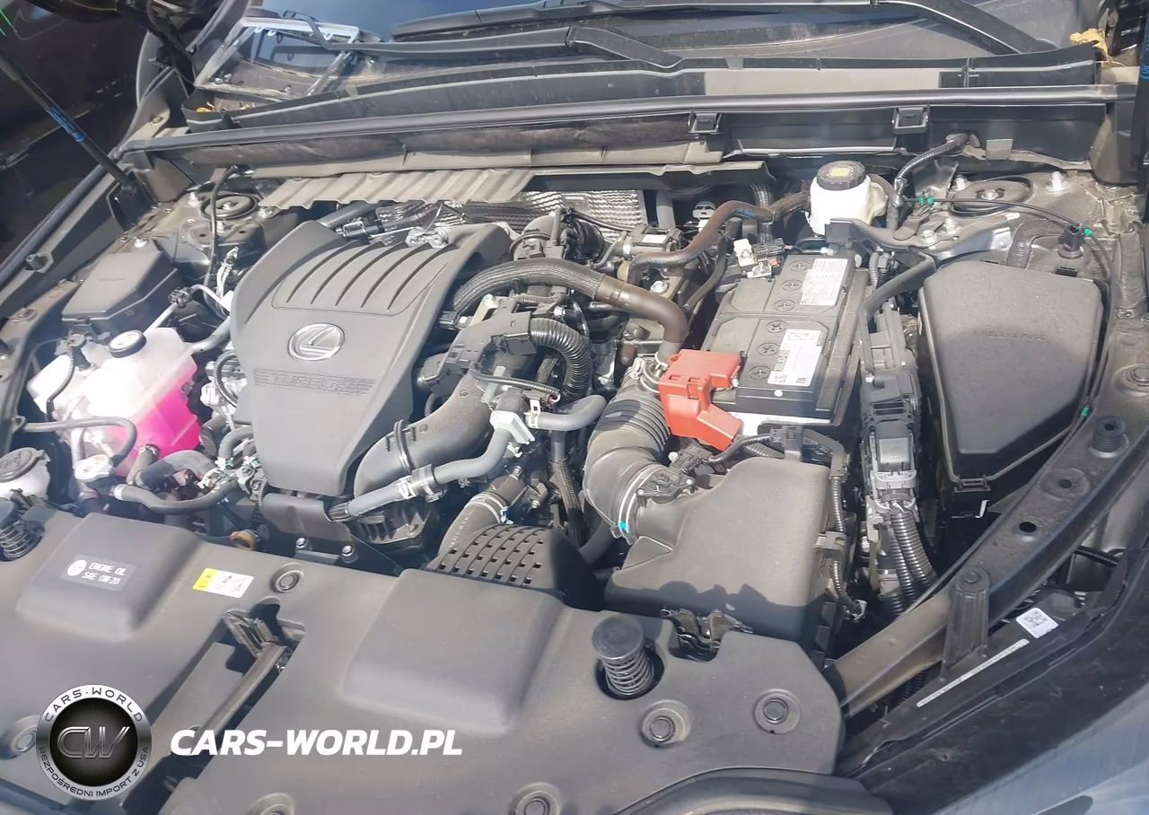 2025 Lexus Nx 350 VIN:2T2AGCEZ9SC094053 - 10