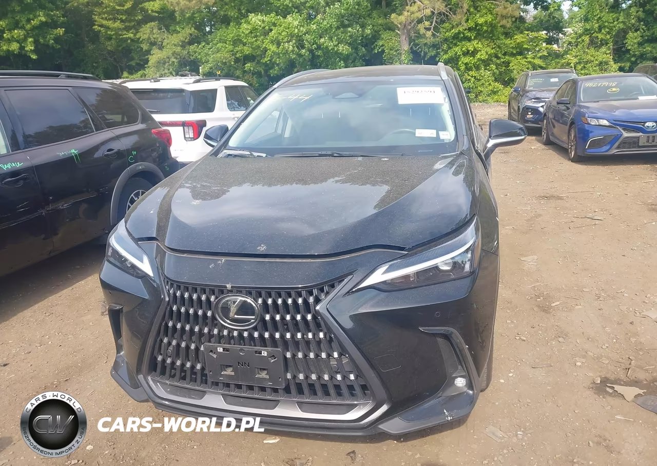 2025 Lexus Nx 350 VIN:2T2AGCEZ9SC094053 - 12
