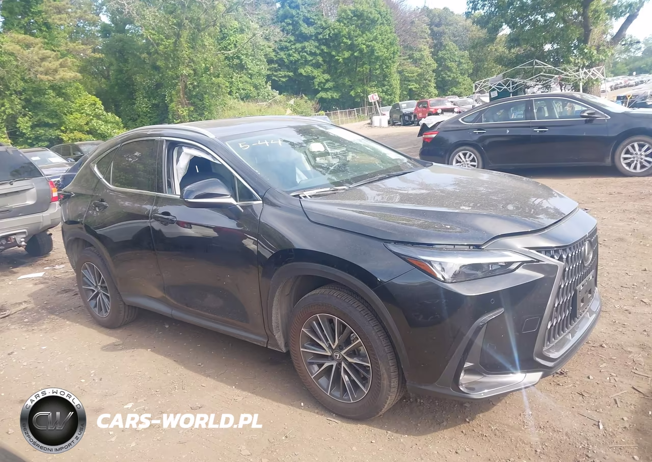 2025 Lexus Nx 350 VIN:2T2AGCEZ9SC094053 - 13