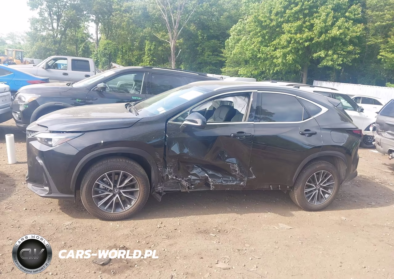 2025 Lexus Nx 350 VIN:2T2AGCEZ9SC094053 - 14