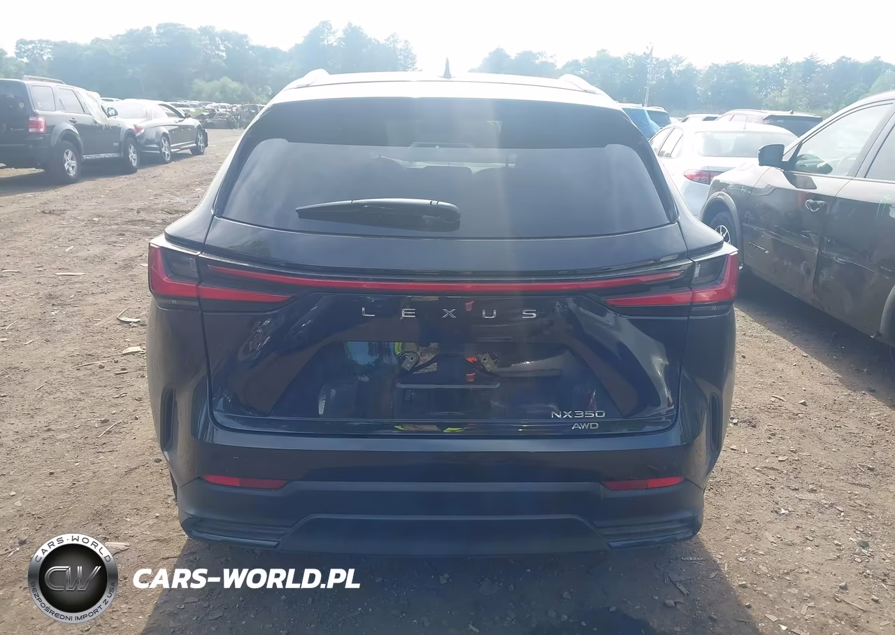 2025 Lexus Nx 350 VIN:2T2AGCEZ9SC094053 - 16