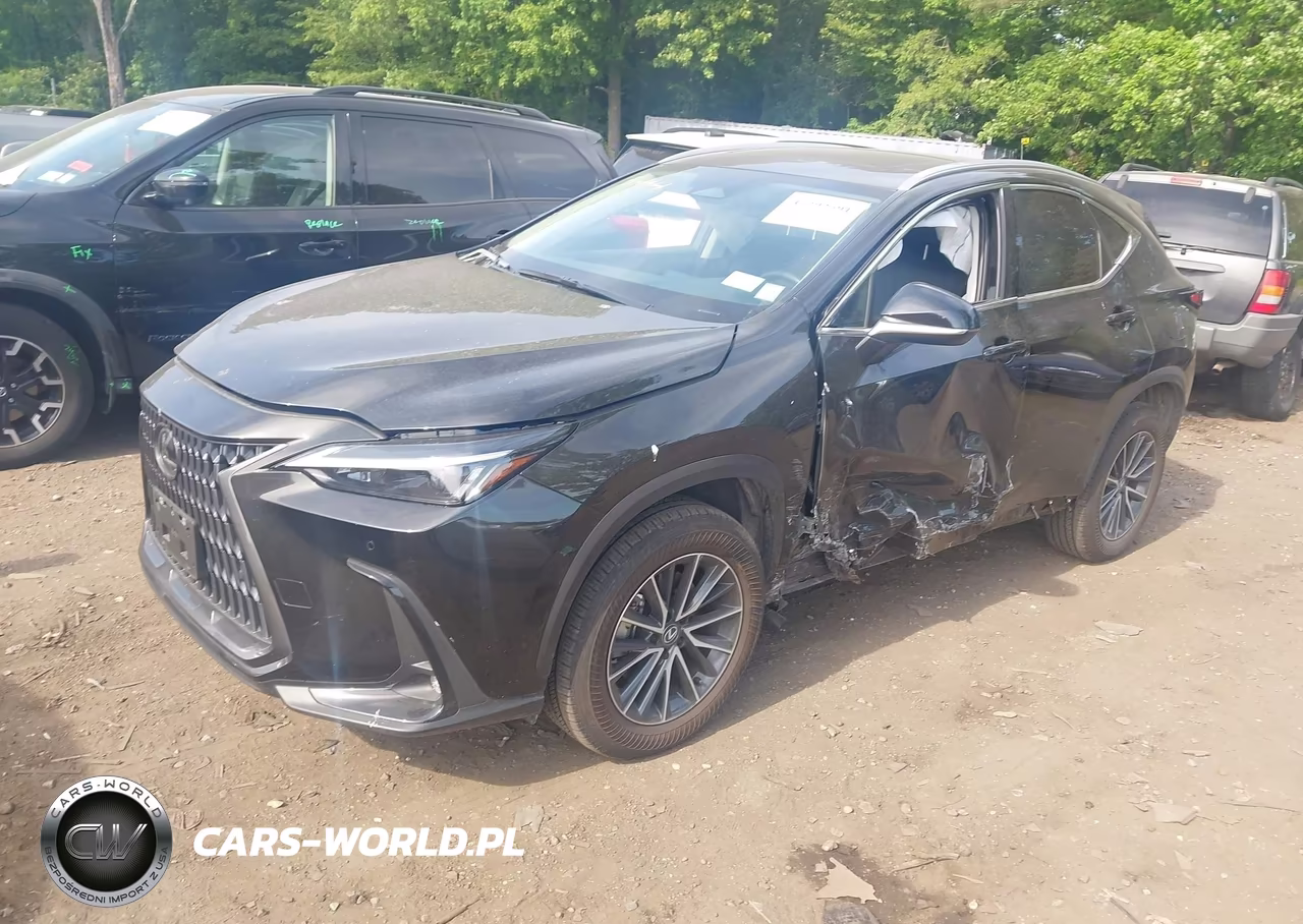 2025 Lexus Nx 350 VIN:2T2AGCEZ9SC094053 - 2