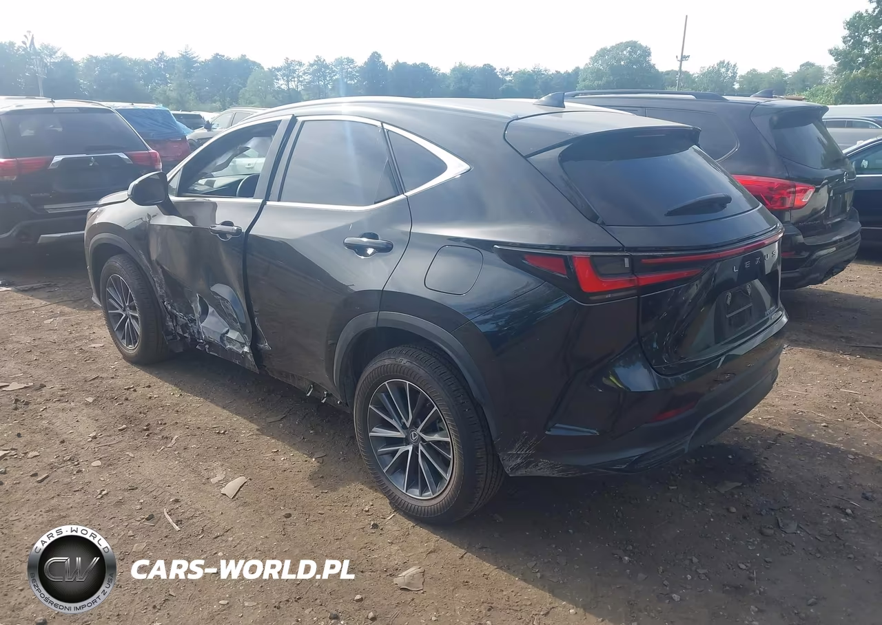 2025 Lexus Nx 350 VIN:2T2AGCEZ9SC094053 - 3