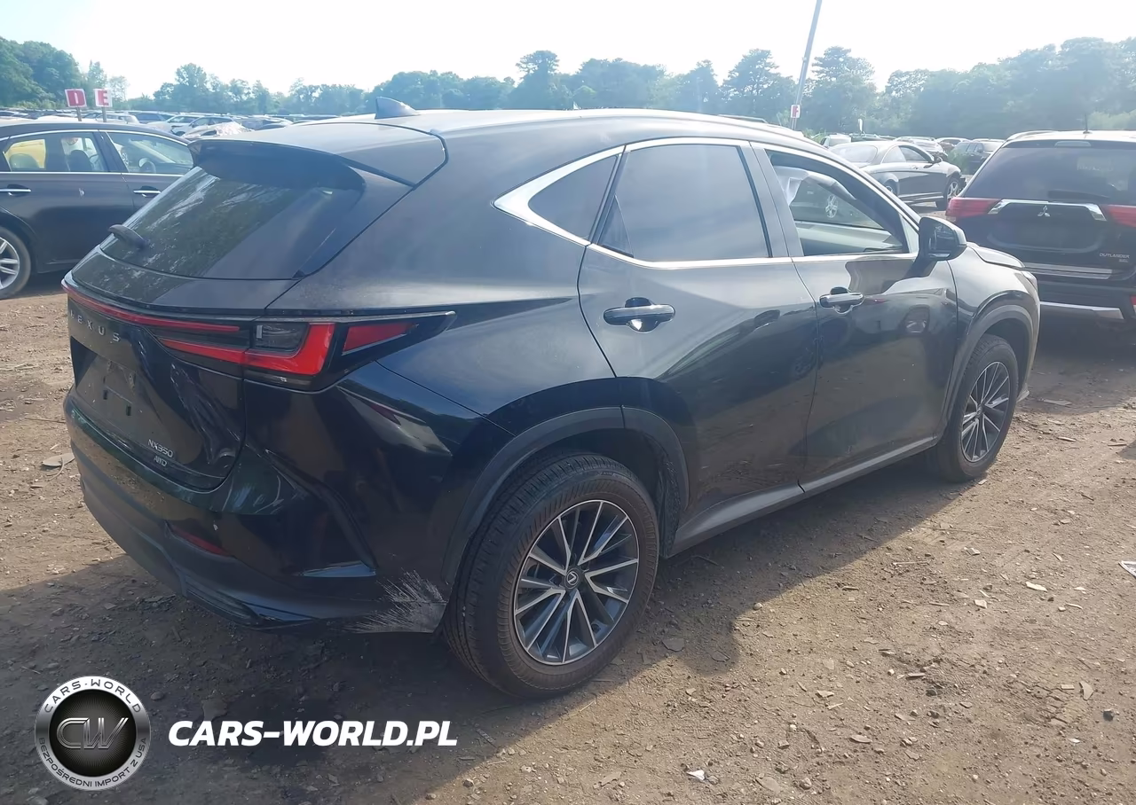 2025 Lexus Nx 350 VIN:2T2AGCEZ9SC094053 - 4