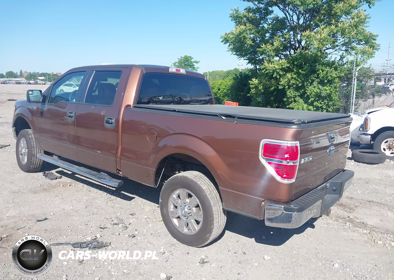 2011 Ford F-150 Xlt VIN:1FTFW1EF2BFA30144 - 3
