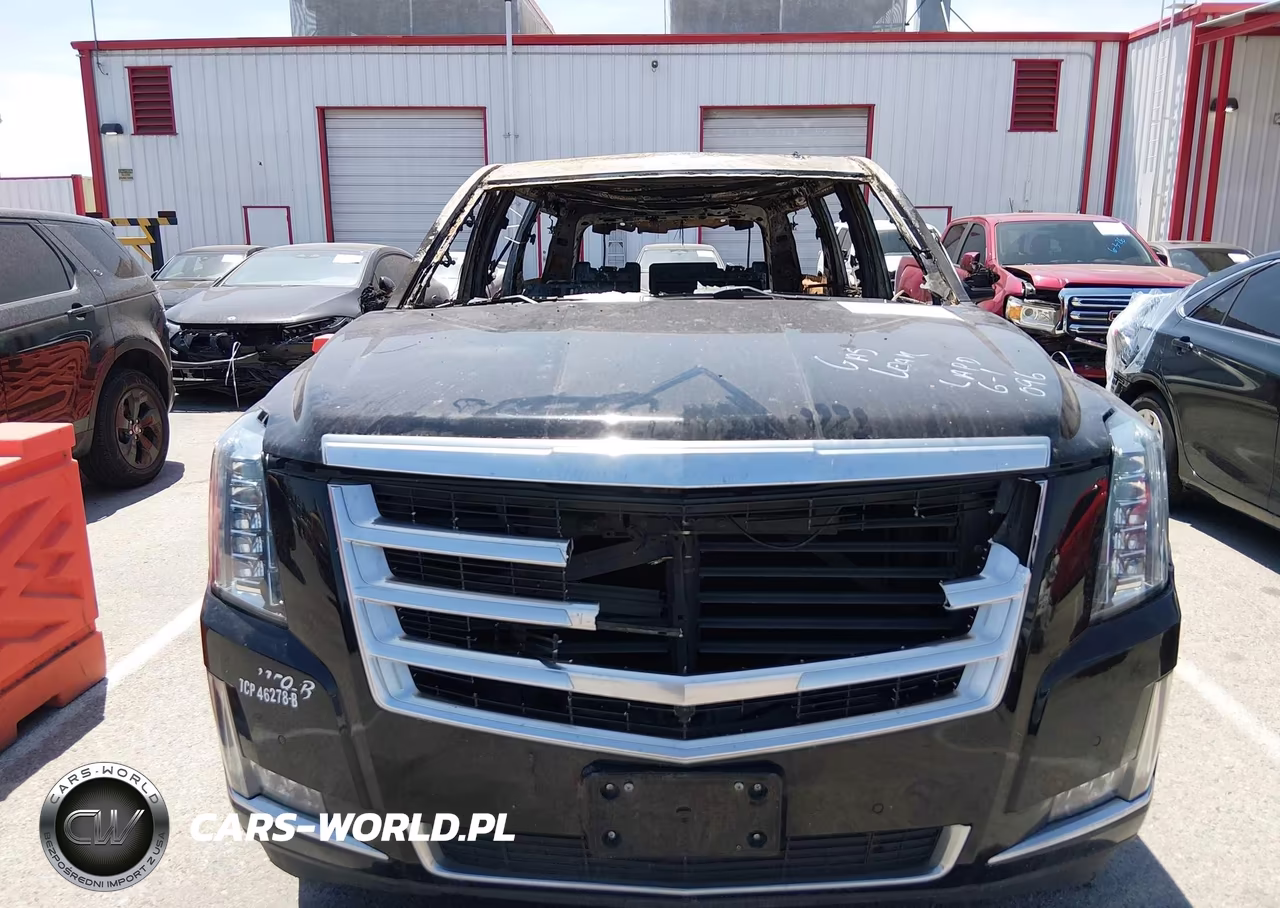 2019 Cadillac Escalade Esv Standard VIN:1GYS3GKJ6KR217382 - 12