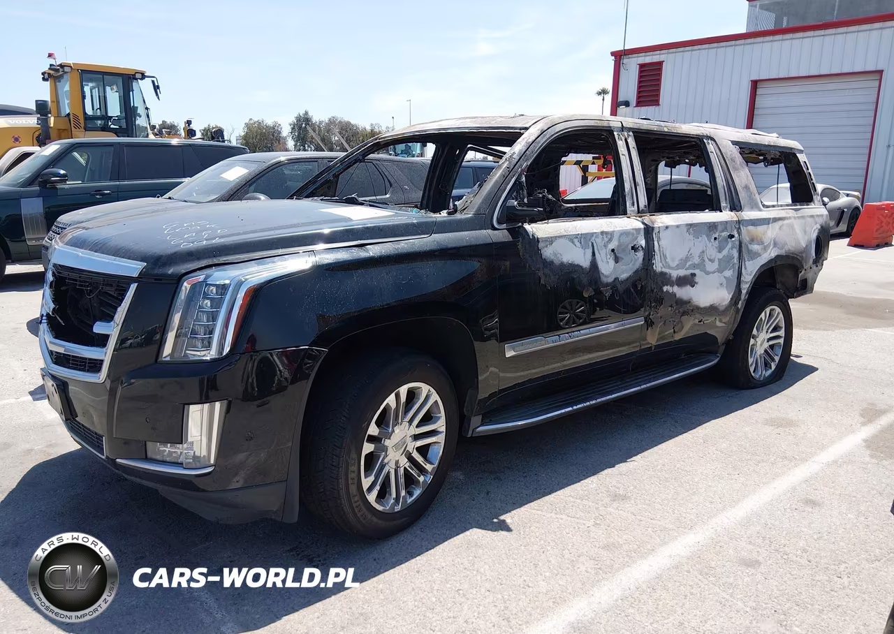 2019 Cadillac Escalade Esv Standard VIN:1GYS3GKJ6KR217382 - 2