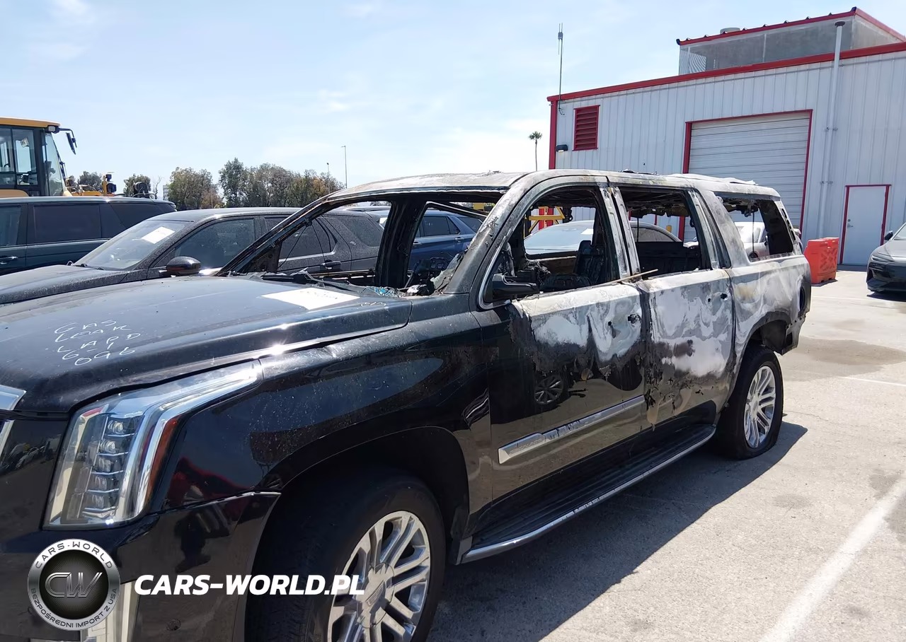 2019 Cadillac Escalade Esv Standard VIN:1GYS3GKJ6KR217382 - 6