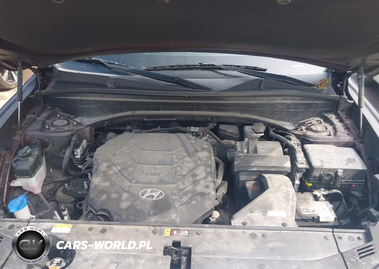 2021 Hyundai Palisade Sel VIN:KM8R24HE0MU208852 - 10