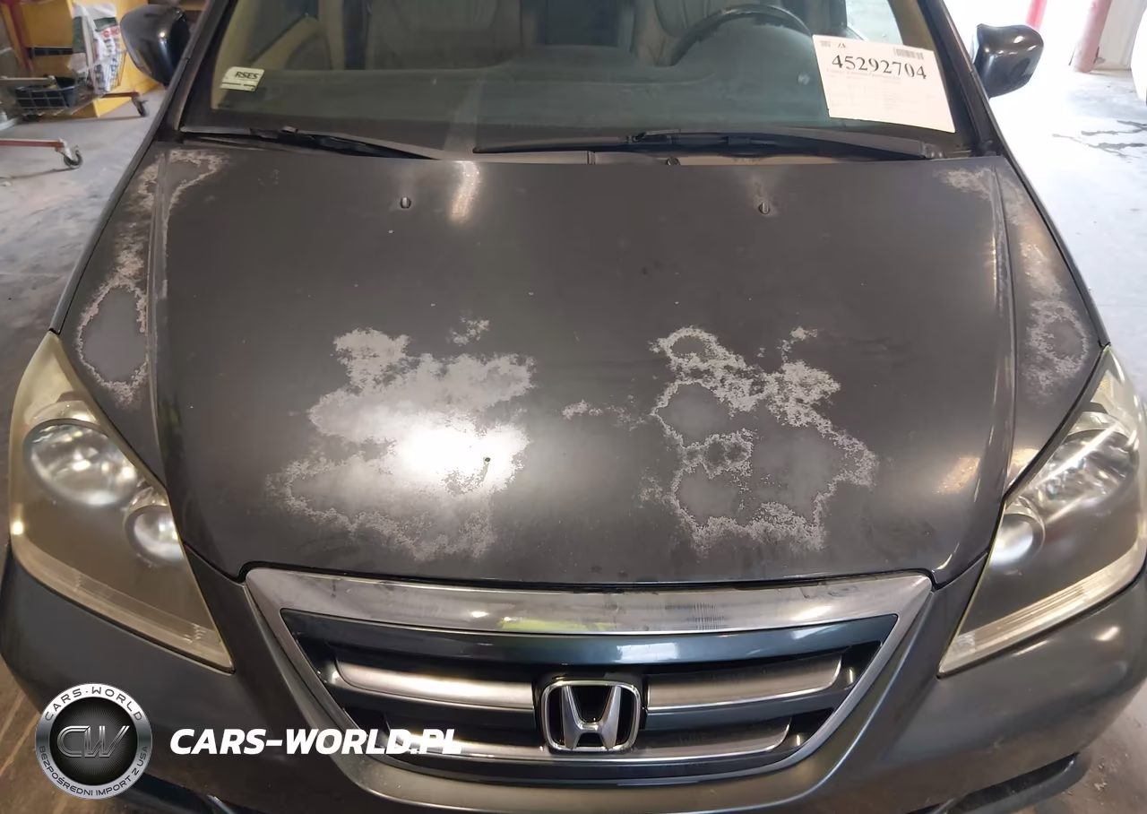 2006 Honda Odyssey Ex-L VIN:5FNRL38776B446805 - 6