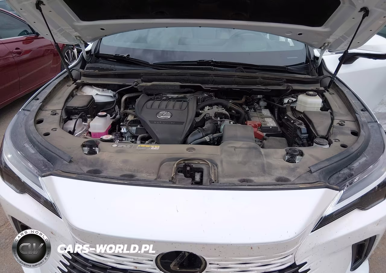 2024 Lexus Rx 350 Premium Plus VIN:2T2BAMBA4RC037179 - 10