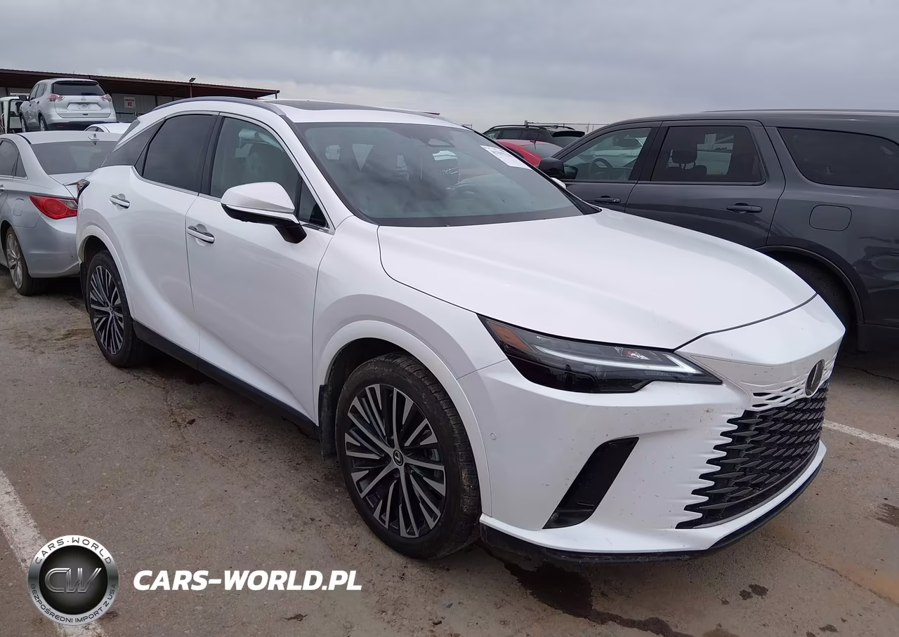 2024 Lexus Rx 350 Premium Plus VIN:2T2BAMBA4RC037179 - 13