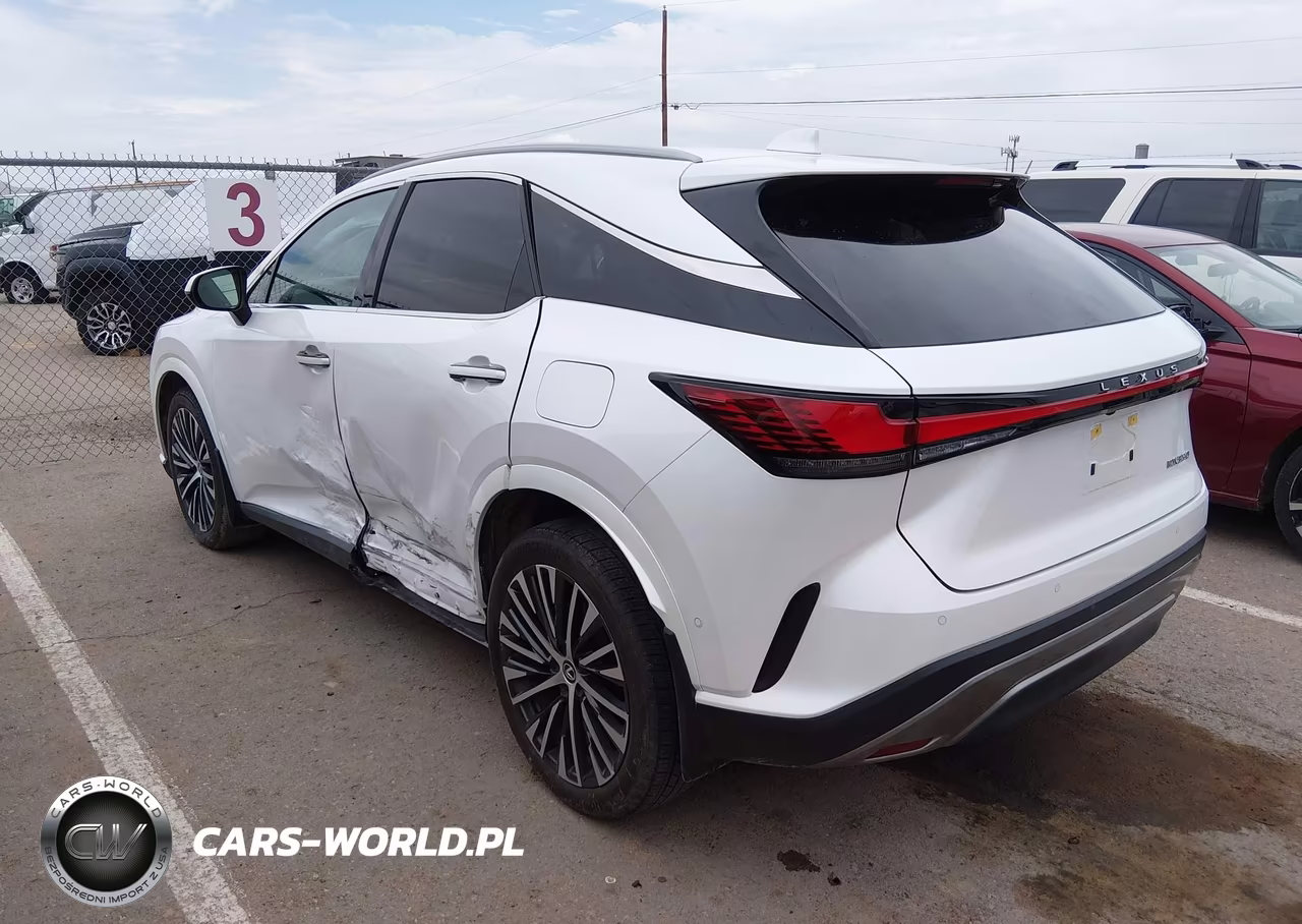 2024 Lexus Rx 350 Premium Plus VIN:2T2BAMBA4RC037179 - 14