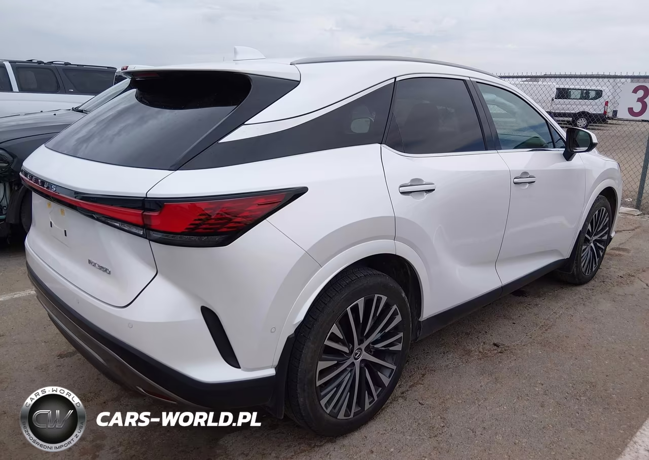 2024 Lexus Rx 350 Premium Plus VIN:2T2BAMBA4RC037179 - 4