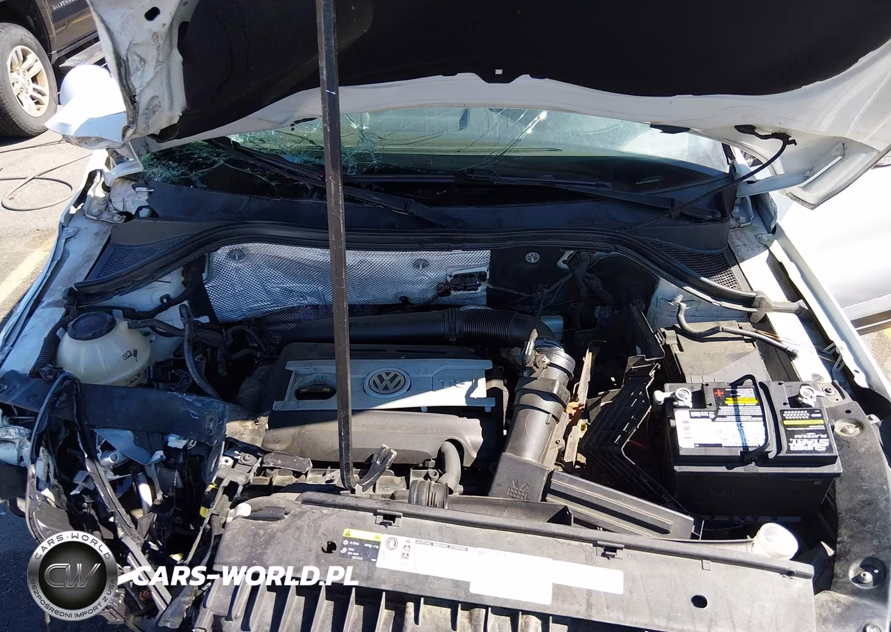 2017 Volkswagen Tiguan 2.0T-2.0T S VIN:WVGAV7AX2HK042501 - 10