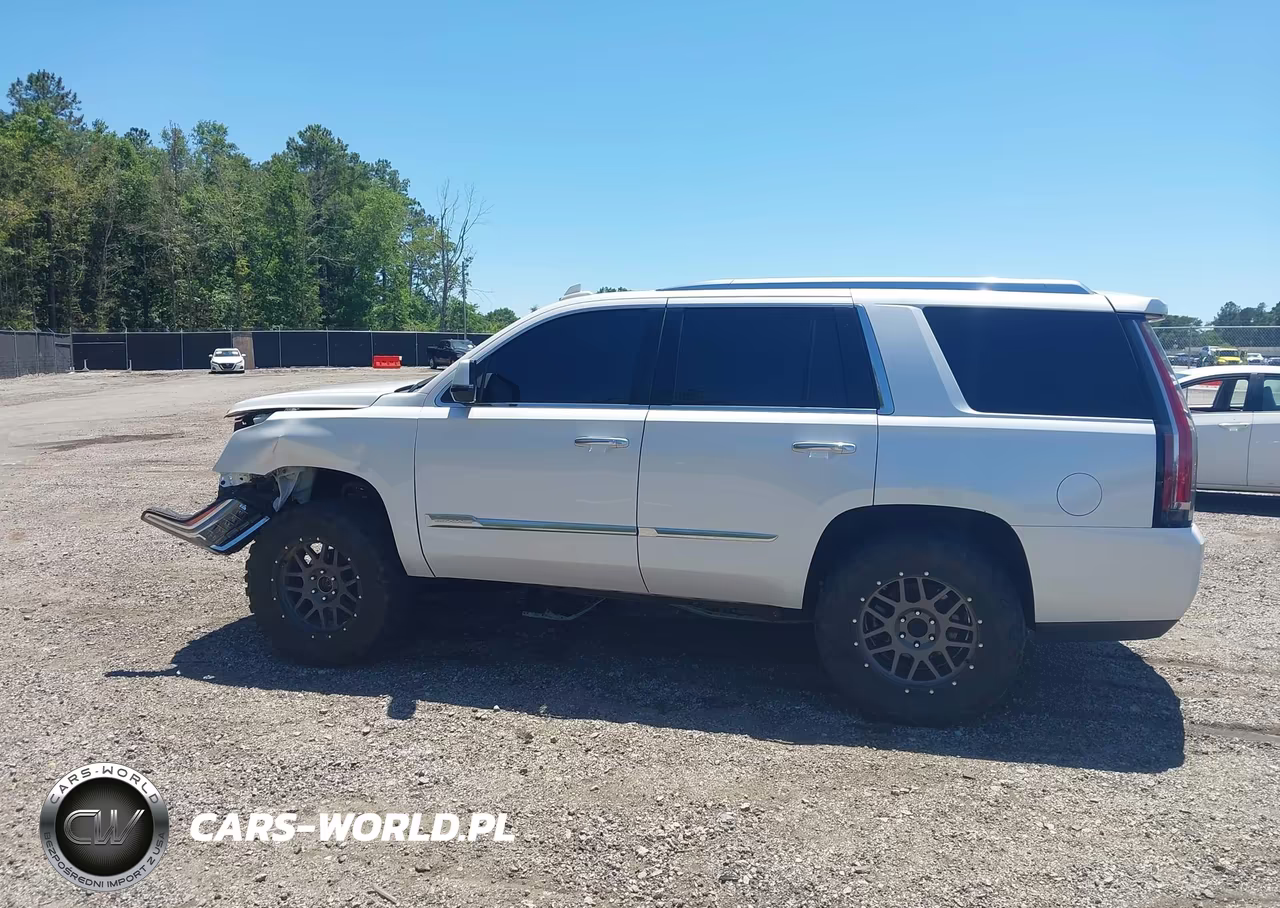 2016 Cadillac Escalade Platinum VIN:1GYS4DKJXGR425977 - 15