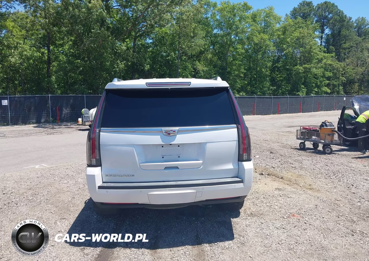 2016 Cadillac Escalade Platinum VIN:1GYS4DKJXGR425977 - 17