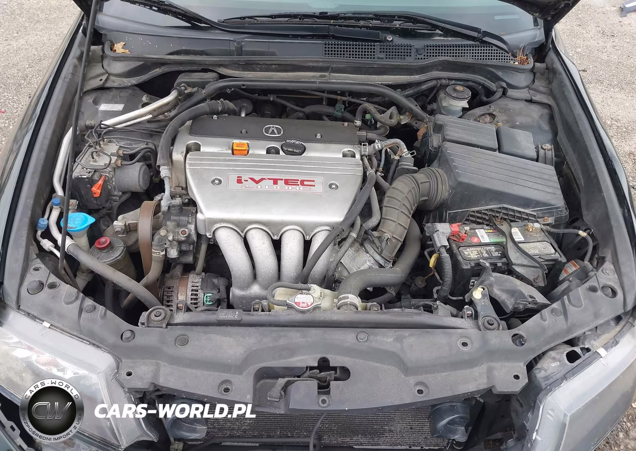 2004 Acura Tsx VIN:JH4CL969X4C042094 - 10
