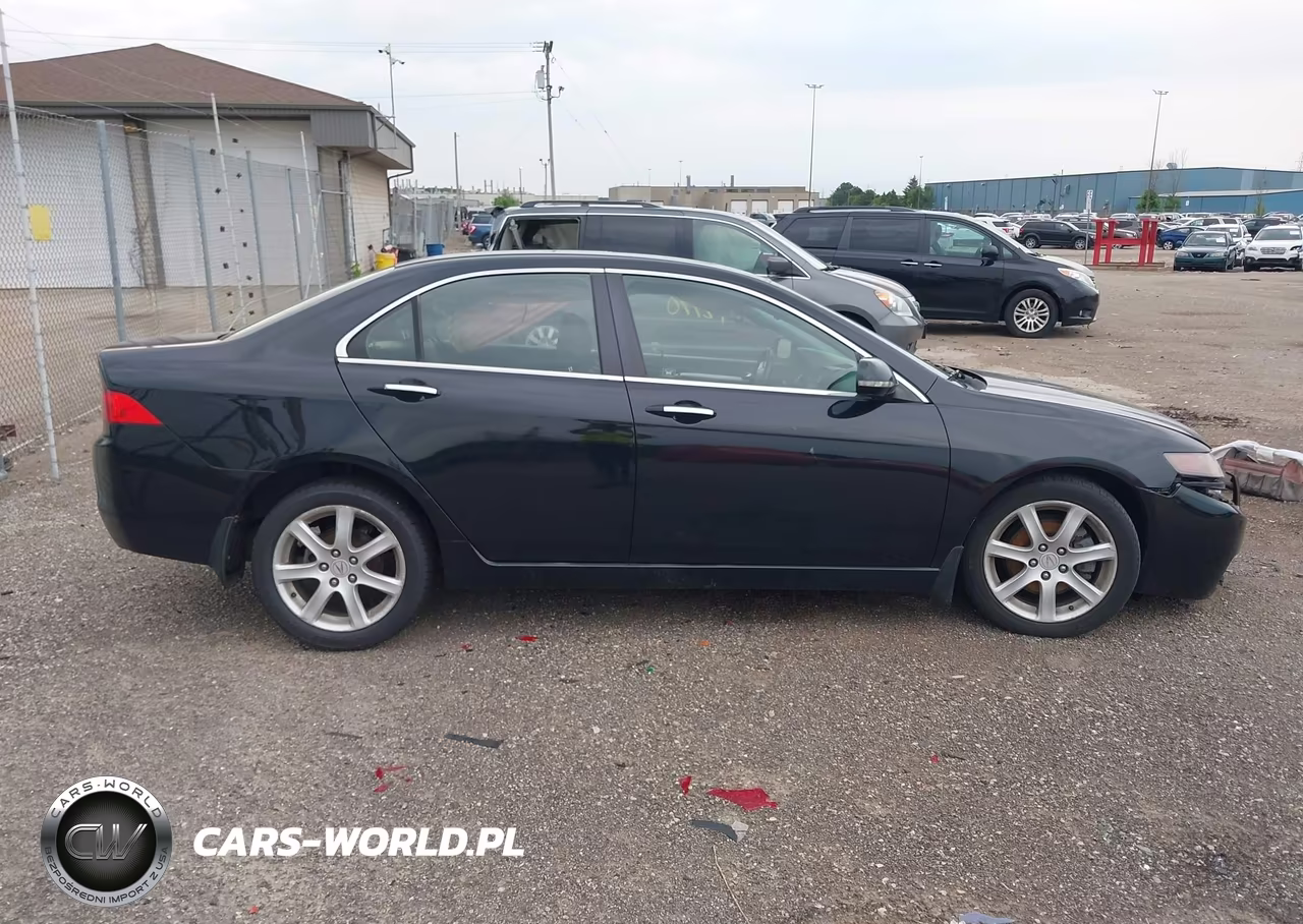 2004 Acura Tsx VIN:JH4CL969X4C042094 - 13