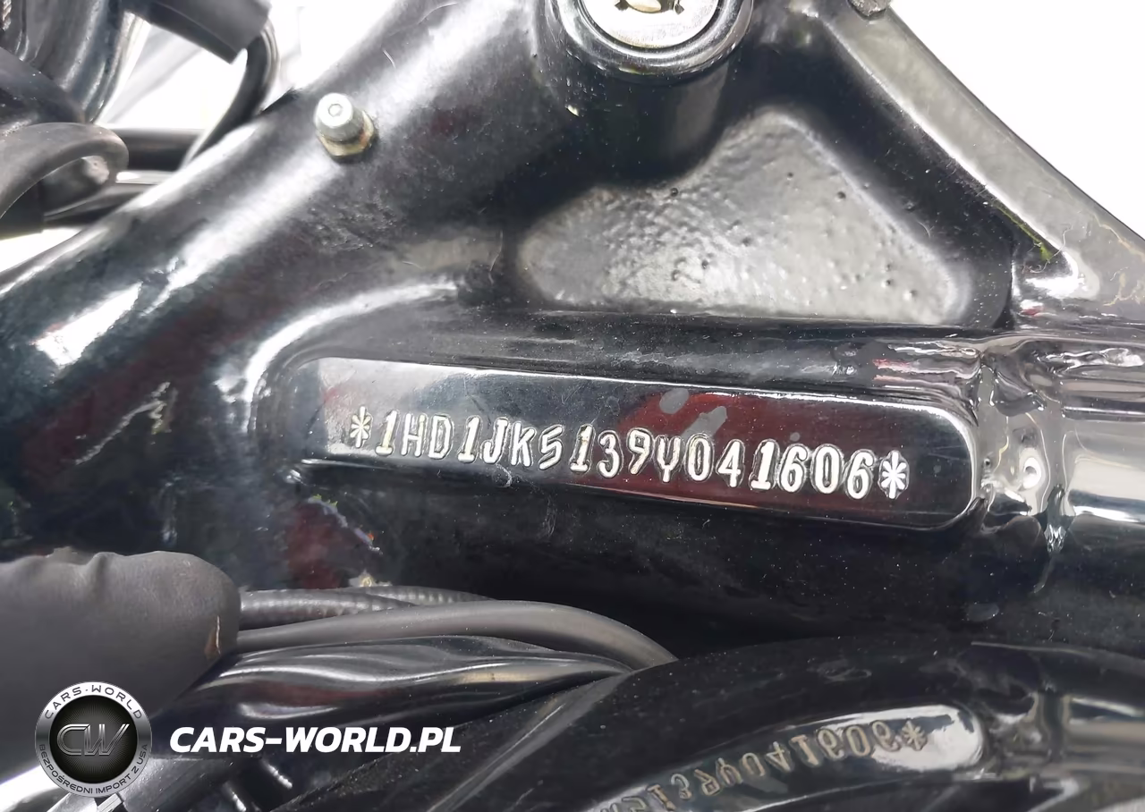 2009 Harley-Davidson Fxcwc VIN:1HD1JK5139Y041606 - 10