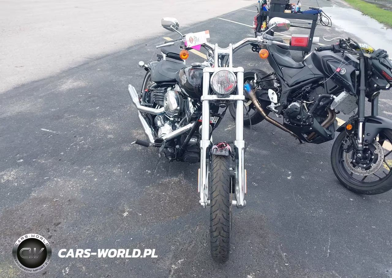 2009 Harley-Davidson Fxcwc VIN:1HD1JK5139Y041606 - 5