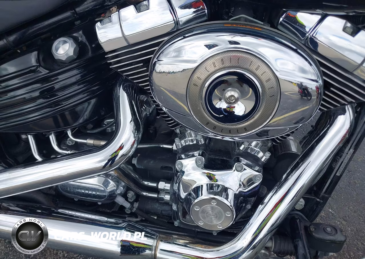2009 Harley-Davidson Fxcwc VIN:1HD1JK5139Y041606 - 8